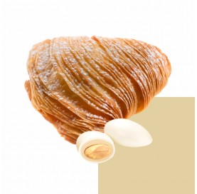 Doppio Milk Sfogliatella | Confetti alla mandorla aromatizzati | Diamanti di Zucchero